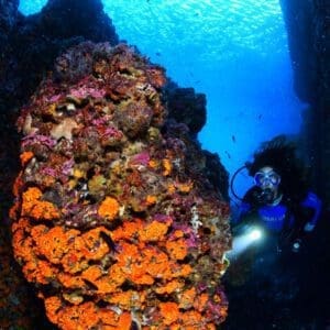 Inmersión marina del este equipo completo